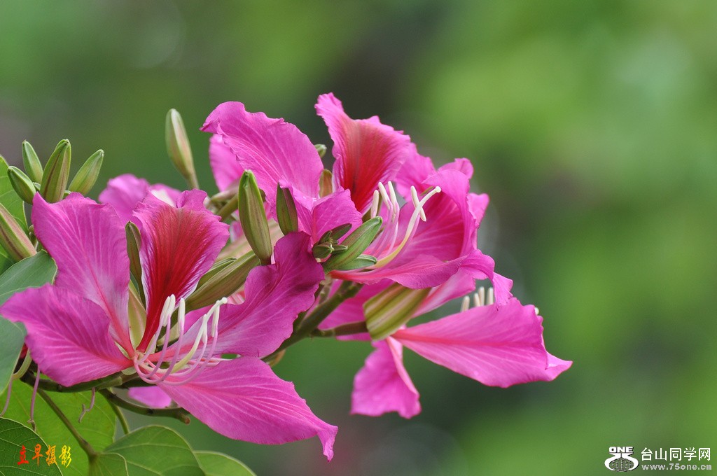 DSC_5055.JPG