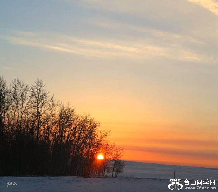 IMG_0747,.jpg