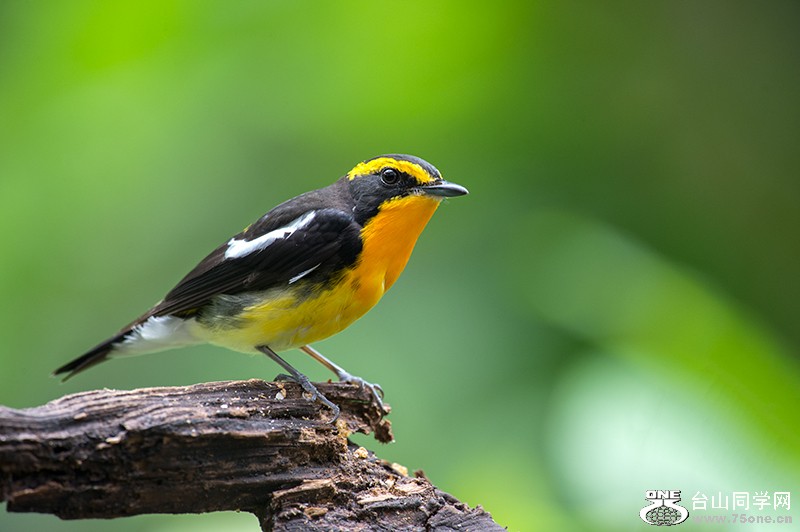 DSC_8539.jpg