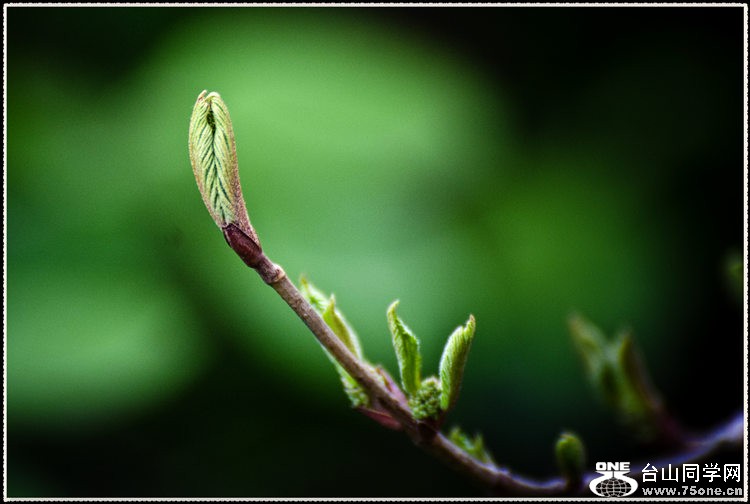 _DSC7374.jpg