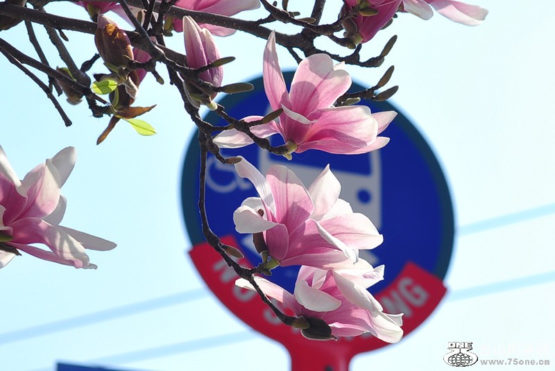CSC_0877_.jpg