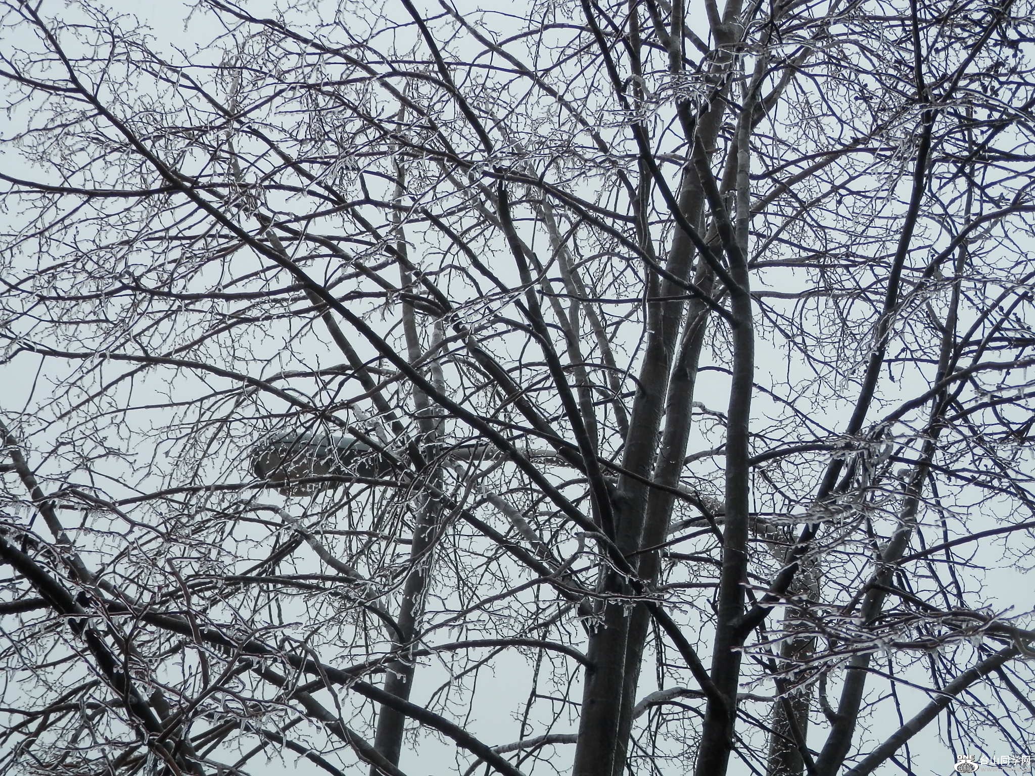 ١± 024.JPG