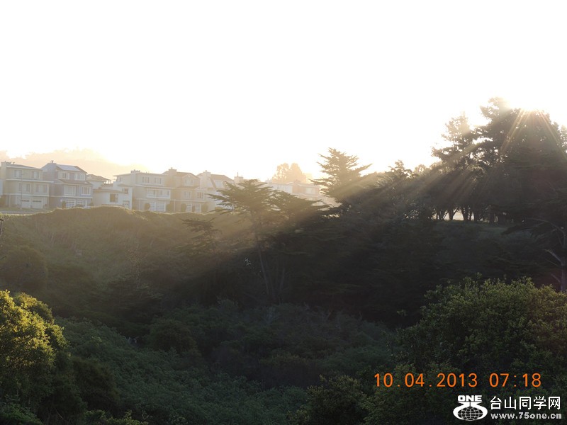 live 511_.jpg