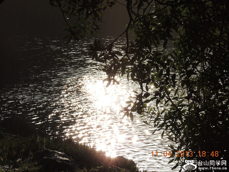 live 549_.jpg