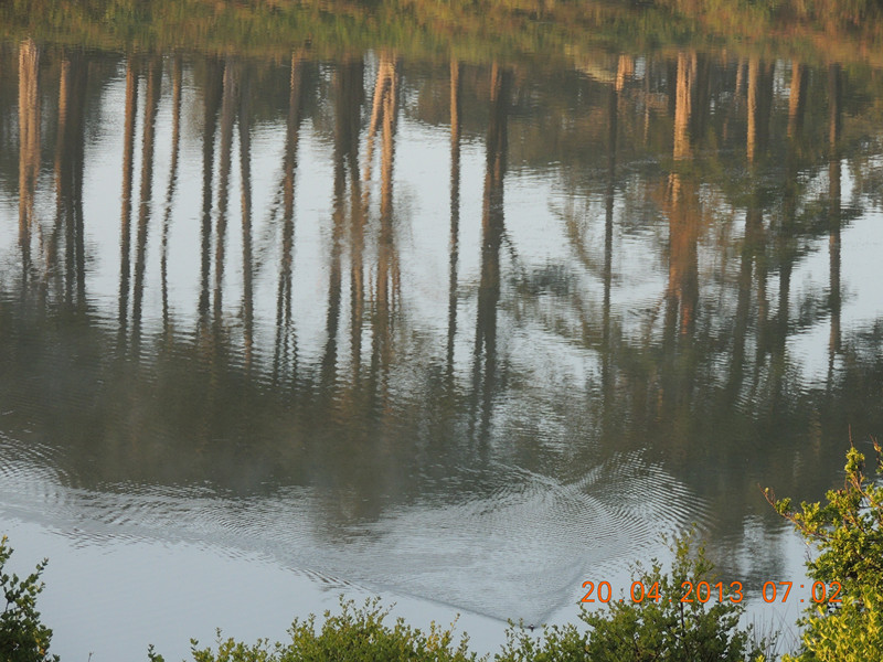 live 669_.jpg