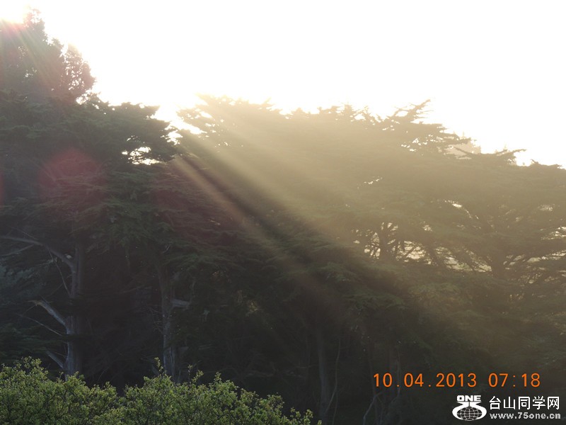 live 510_.jpg