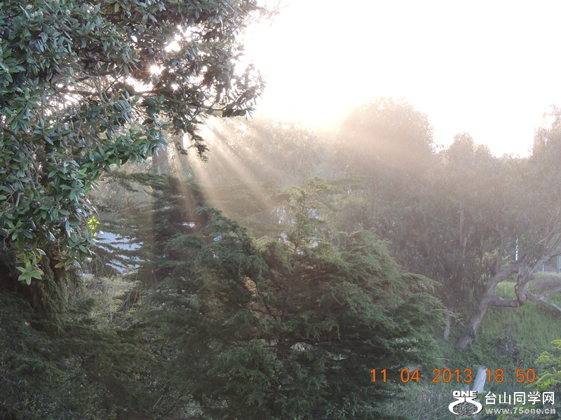 live 555_.jpg