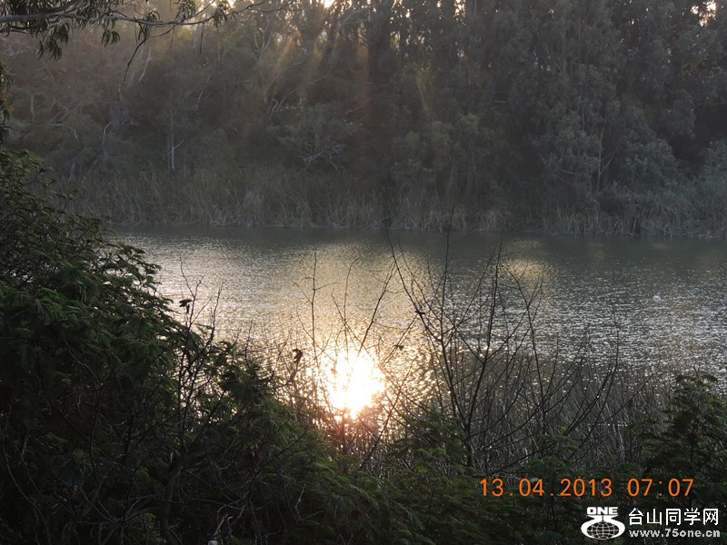 live 590_.jpg