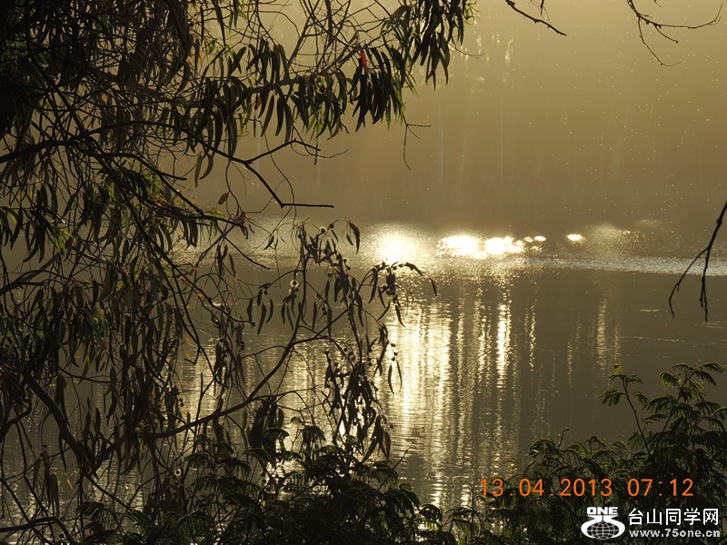 live 595_.jpg
