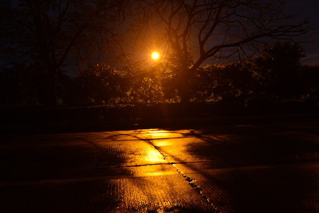 DSC_8771.jpg