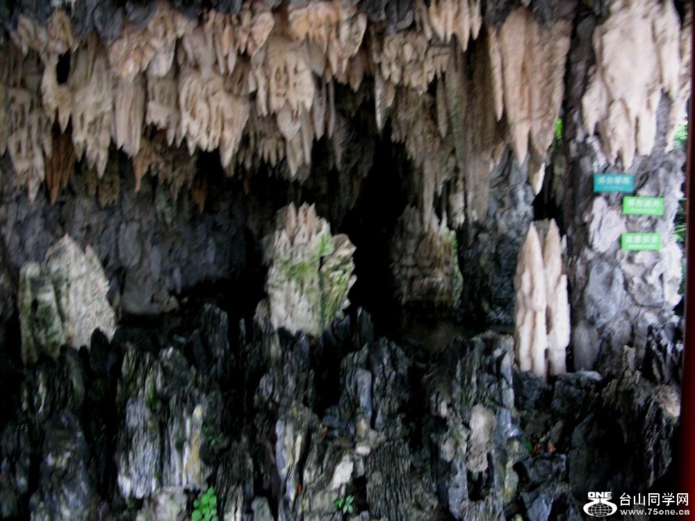 IMG_2470.JPG