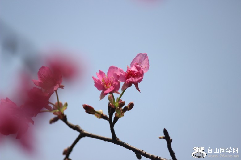 IMG_7089_conew1.jpg