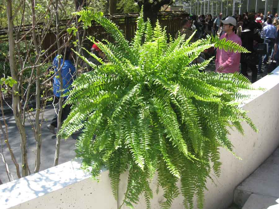 IMG_0501.JPG
