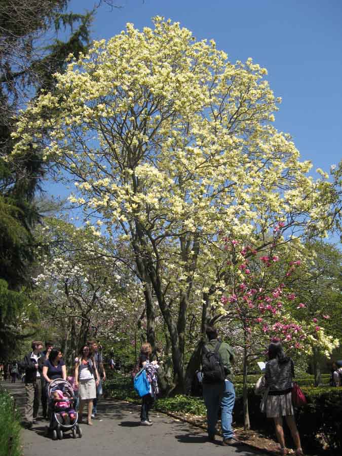 IMG_0484.JPG