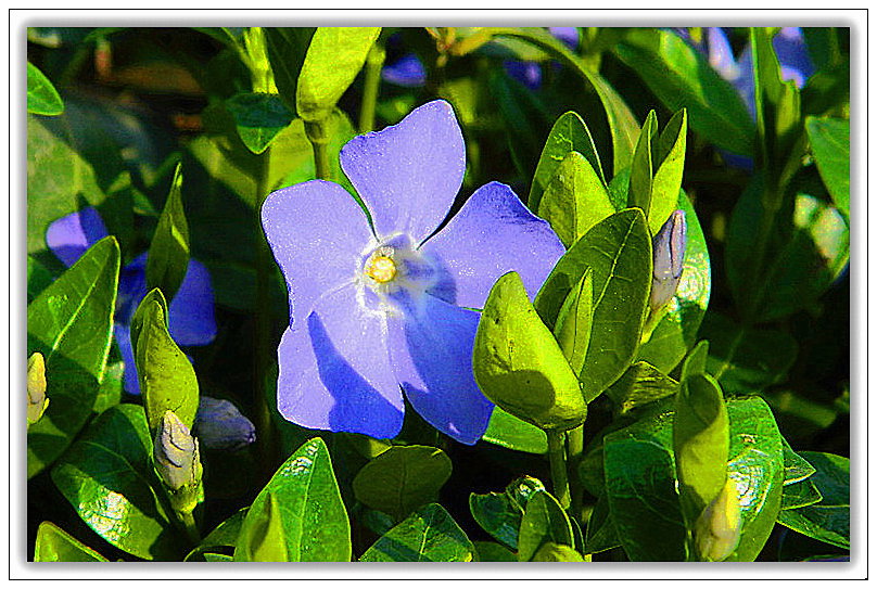 DSCN0746_1.jpg
