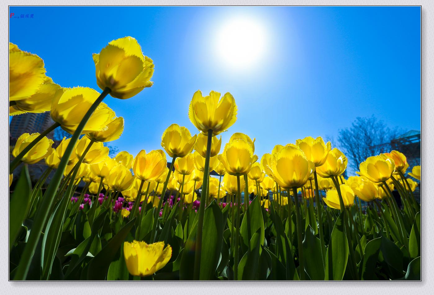 �}�u -27-073-1.jpg