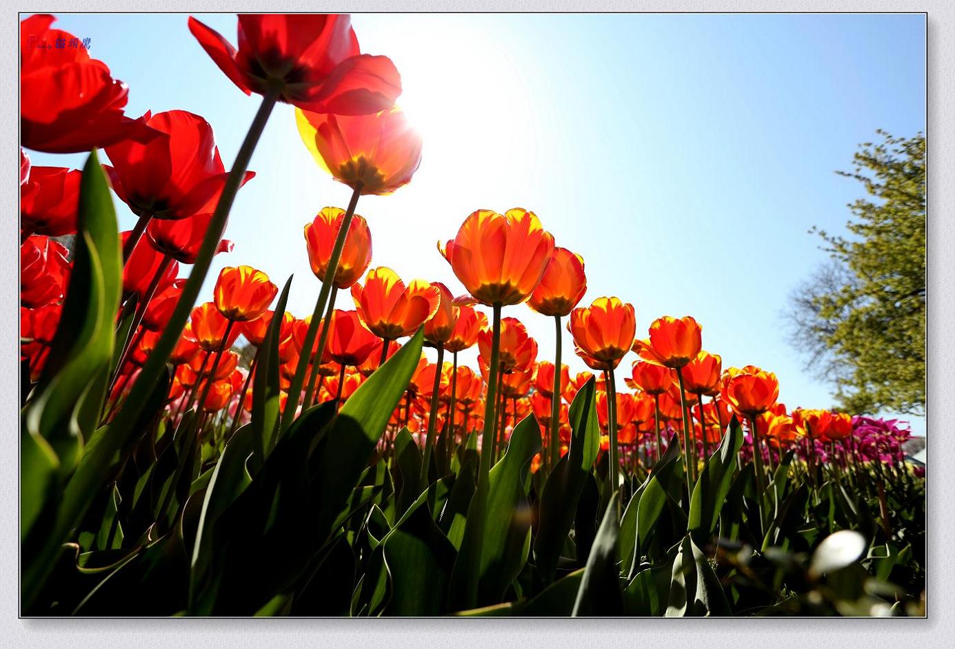 �}�u -4-25-13�߽� 054-2.jpg