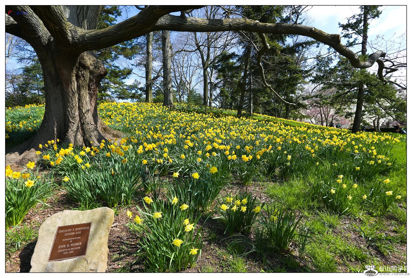 �}�u -22-110-1.jpg