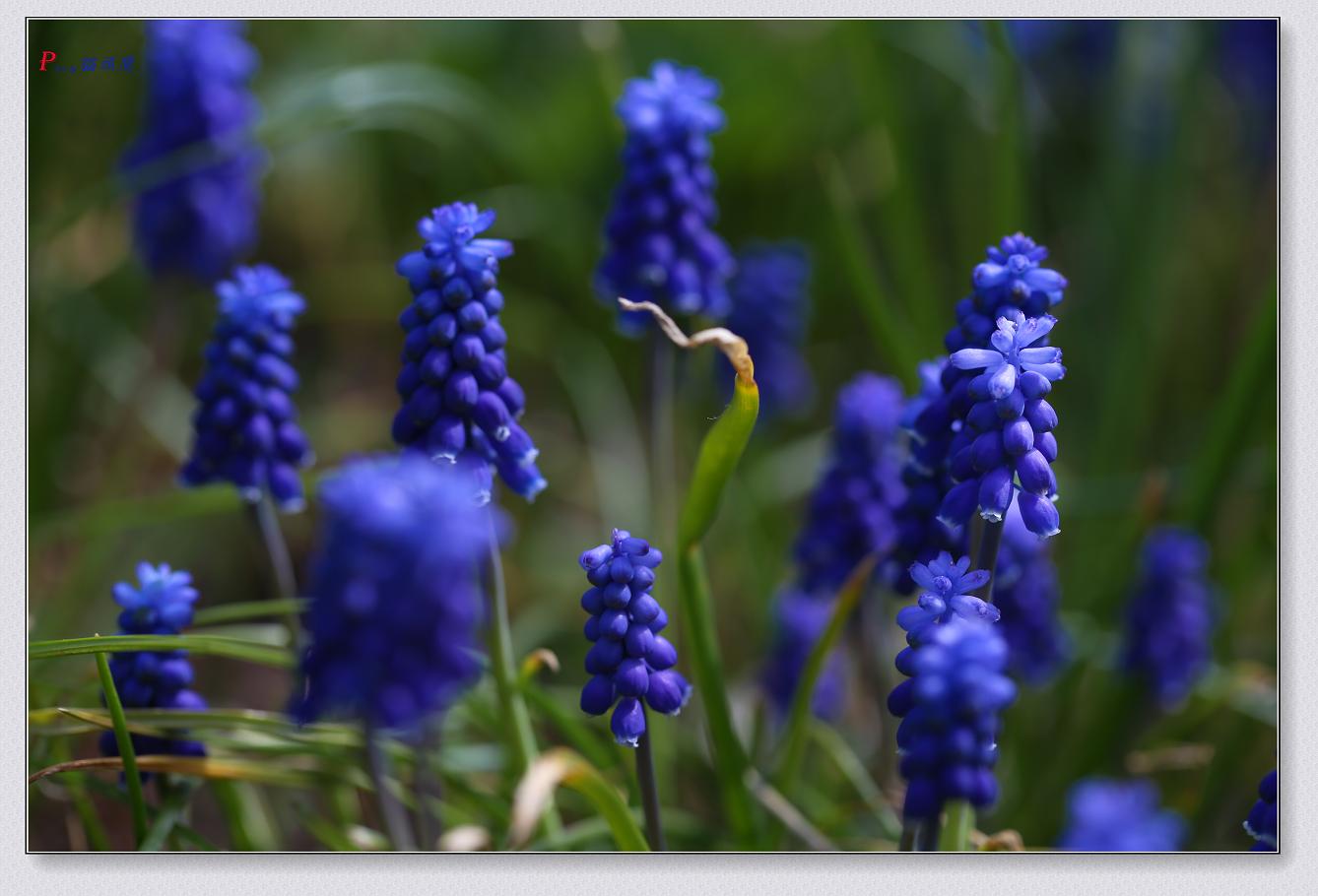 �}�u -23-135-1.jpg