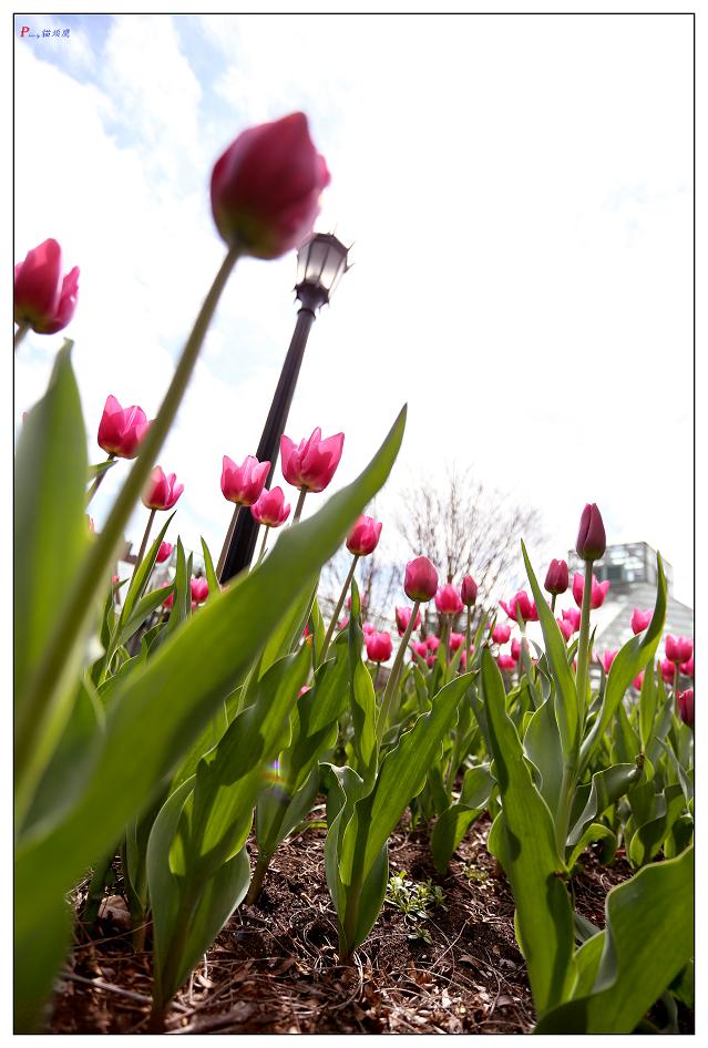 �}�u -4-16-13�ձ����@ 335-1.jpg