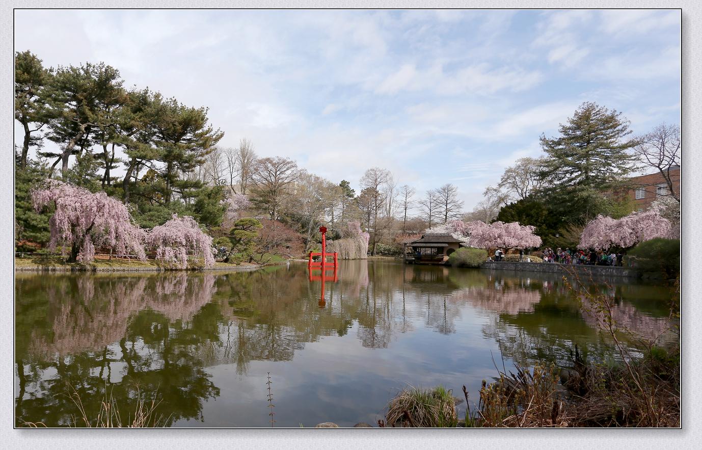 �}�u -4-16-13�ձ����@ 315-2.jpg