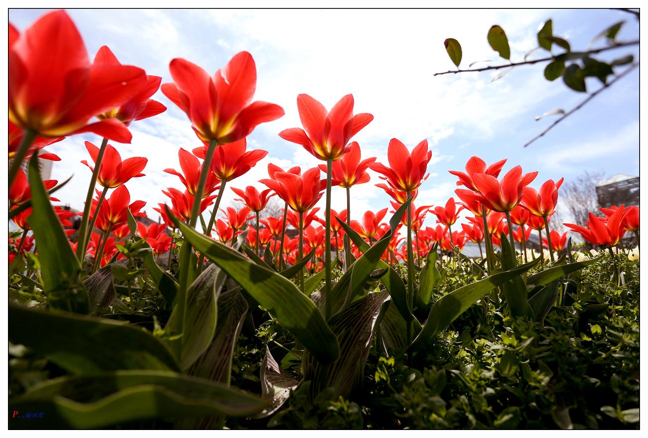 �}�u -4-16-13�ձ����@ 386-1.jpg