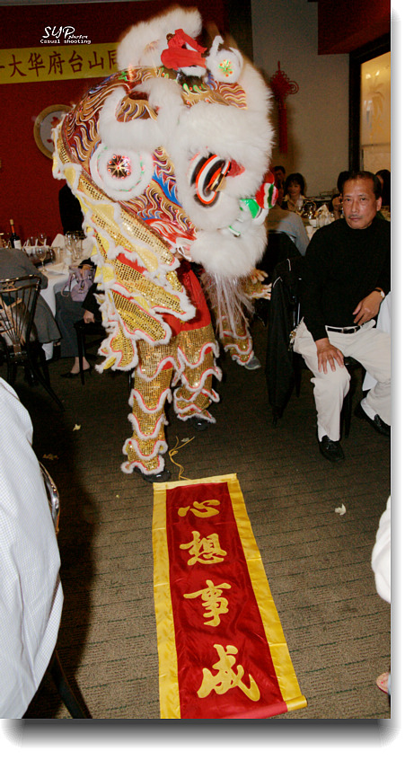 DSC02237.jpg