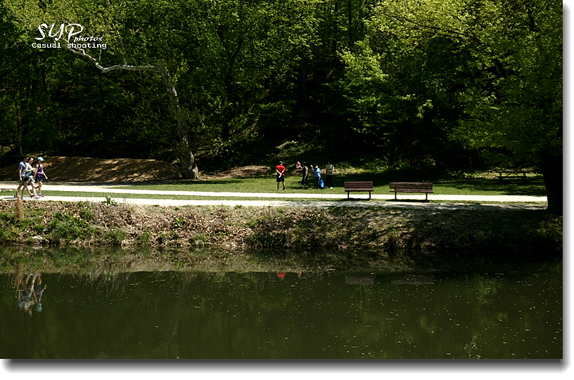 _DSC2854.jpg