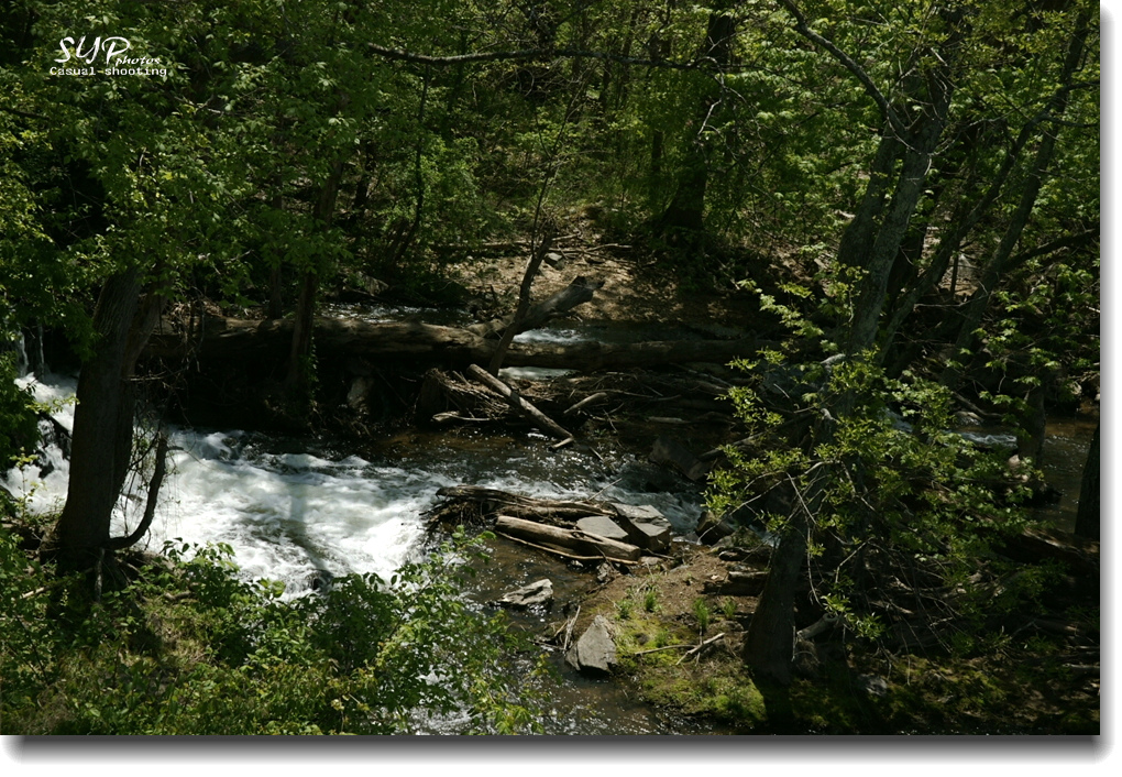 _DSC2878.jpg