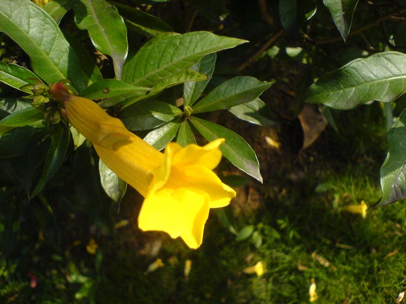DSC06408.JPG