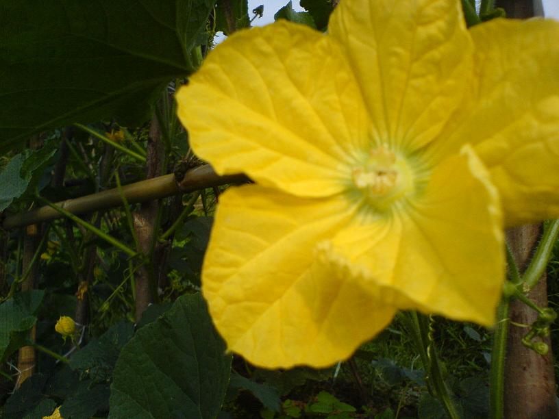 DSC06439.JPG