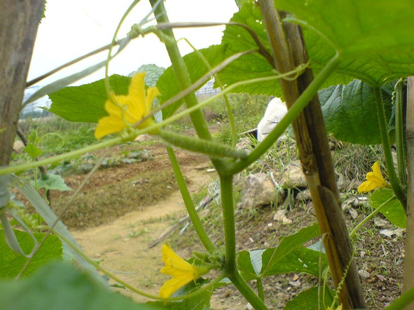 DSC06418.JPG