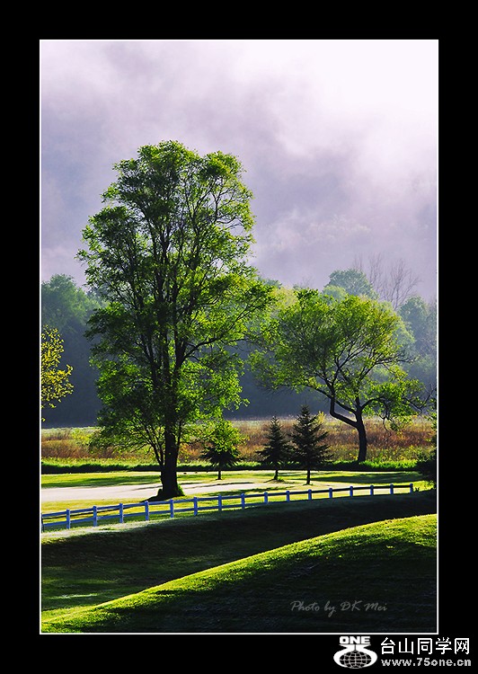 Misty Morning 1C.jpg