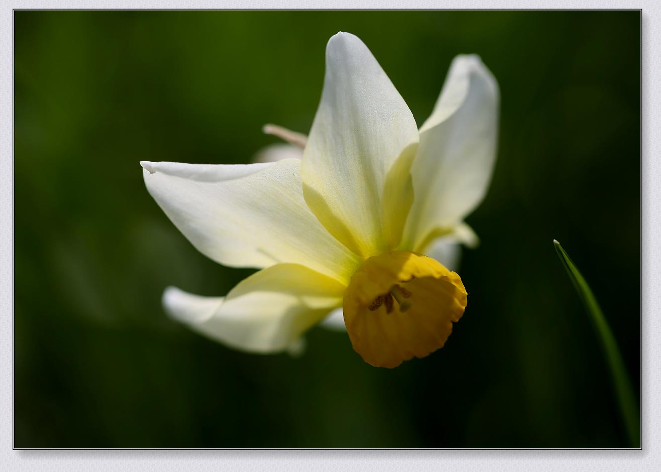 �}�u -4-16-13�ձ����@ 159-1.jpg