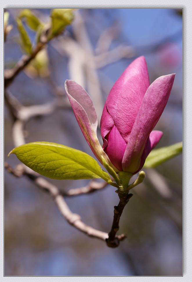 �}�u -4-25-13�߽� 141-1.jpg