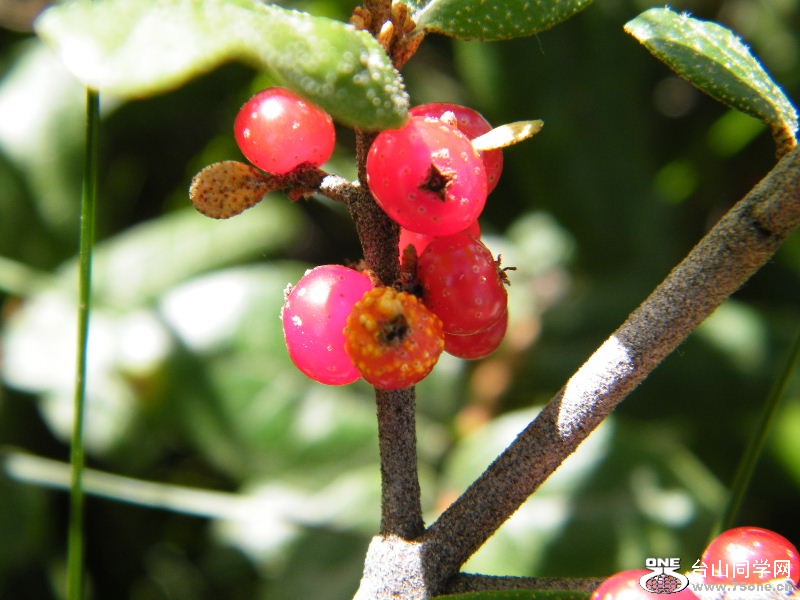 DSCF6490.JPG
