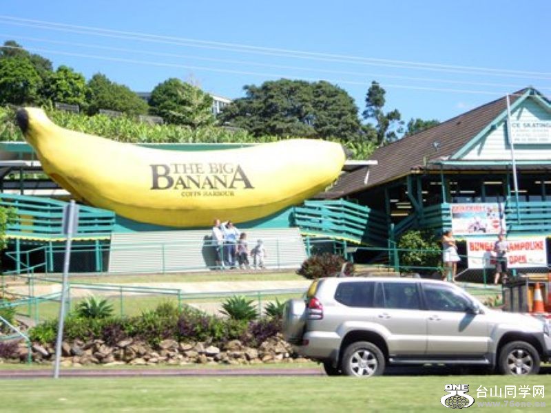 s big banana.jpg