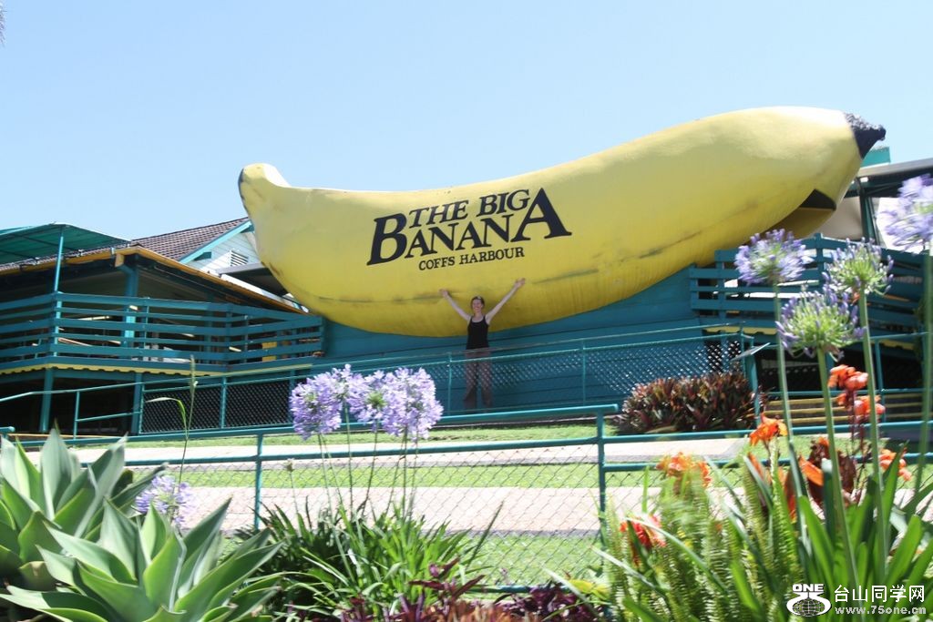 0Big Banana.JPG