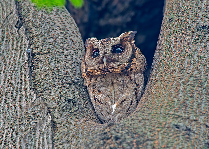 DSC_6653 - .jpg