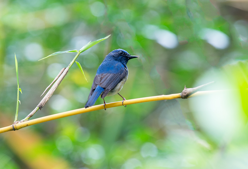 DSC_6671 - .jpg