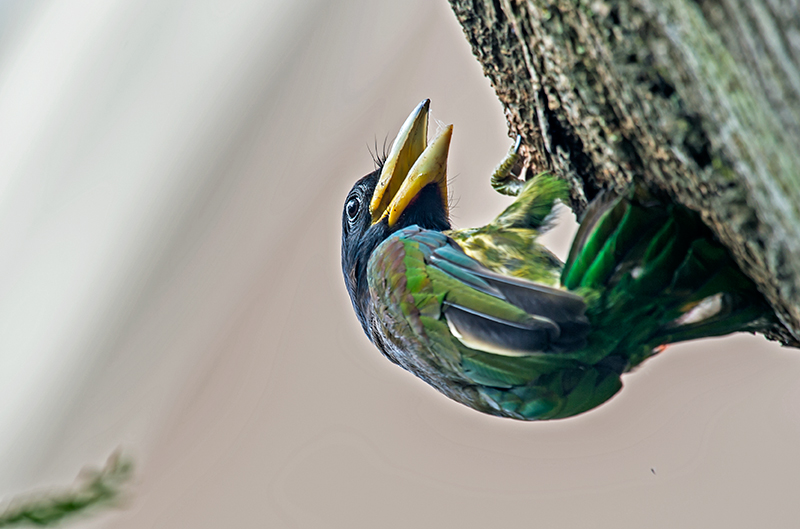 DSC_6772.jpg