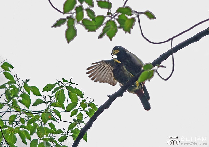 DSC_7736-.jpg