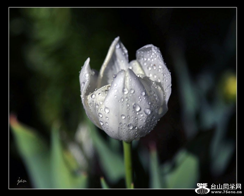 IMG_8953=.jpg