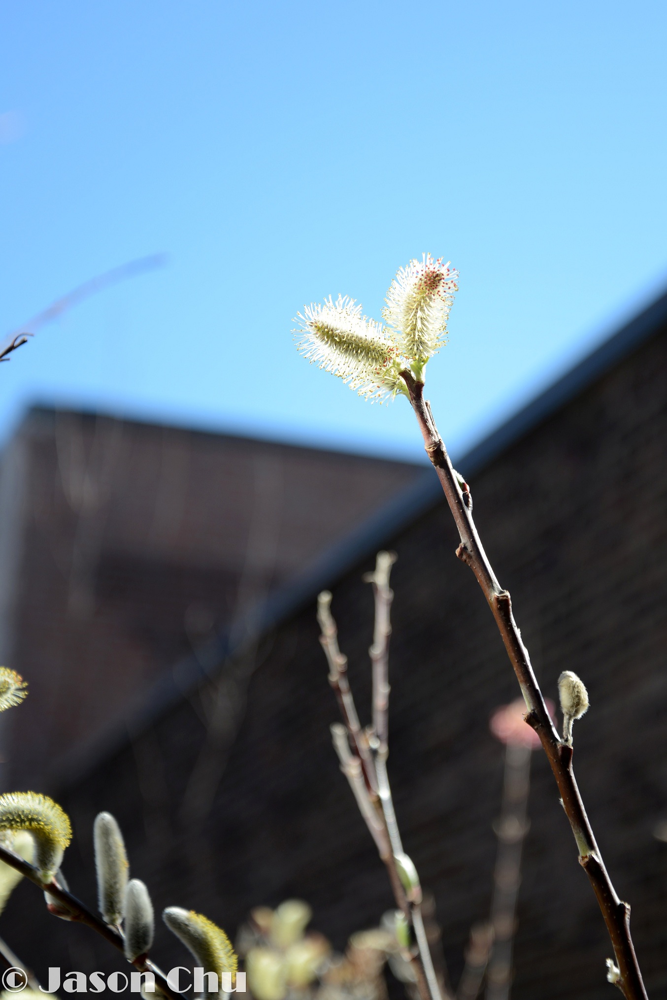 DSC_2079.JPG