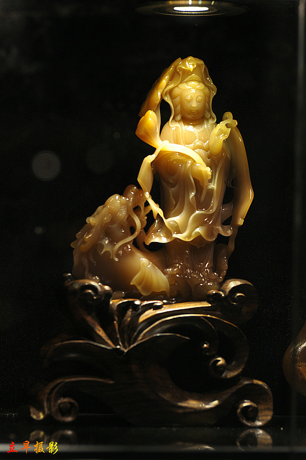 DSC_7978.JPG