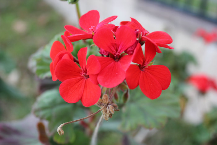 2012_01070044.JPG