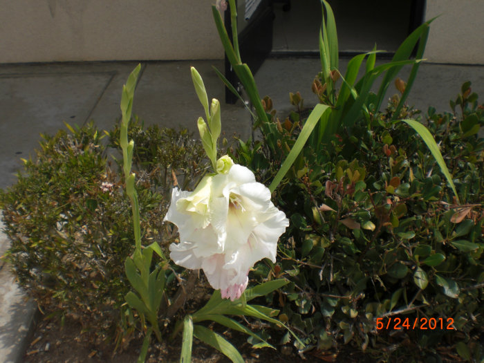 2012_07170532.JPG