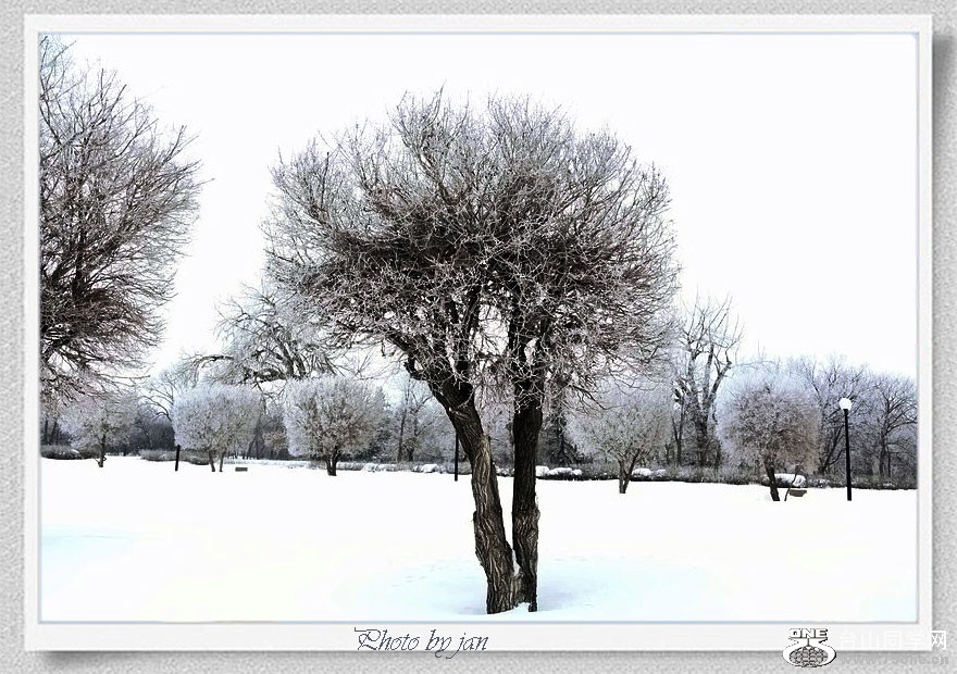 DSCF2185=.jpg