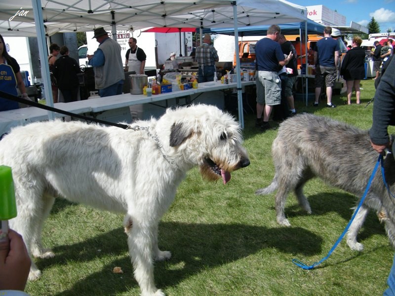 DSCF0934.JPG