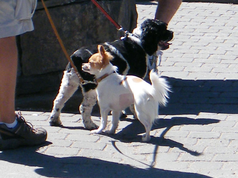 DSCF4241=0.jpg